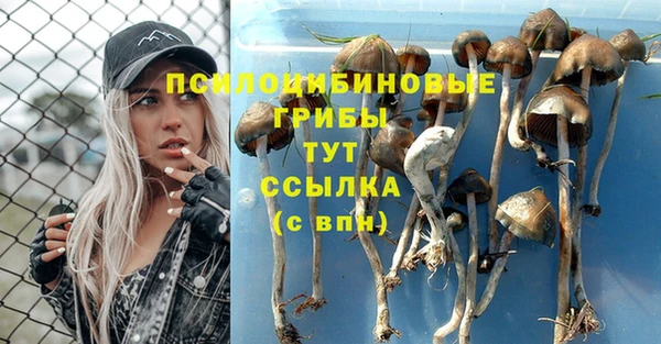 ALPHA PVP Нефтекумск