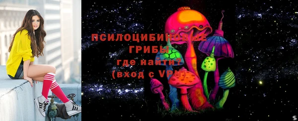 молекула духа Медногорск