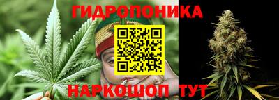 ПСИЛОЦИБИНОВЫЕ ГРИБЫ Кингисепп