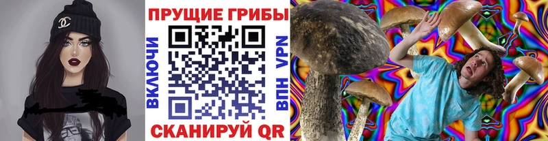Псилоцибиновые грибы GOLDEN TEACHER Рассказово