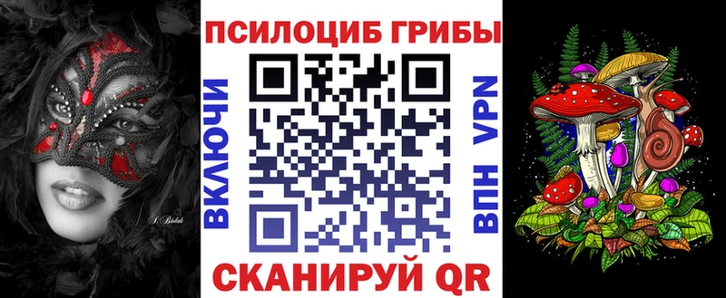 Псилоцибиновые грибы Cubensis  Рассказово 