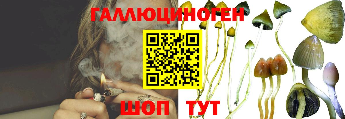 Рассказово  Галлюциногенные грибы ЛСД  Псилоцибиновые грибы Cubensis  Вход с VPN 
